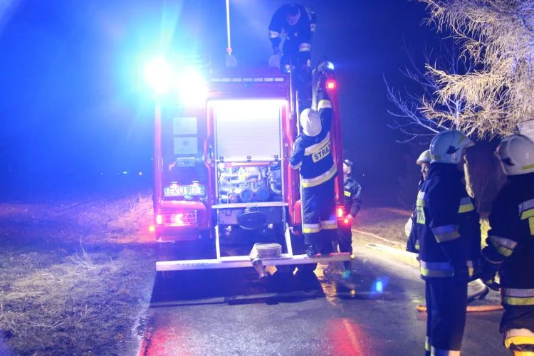 Pożar na terenie jednej z kutnowskich firm. Z ogniem walczyły dwa zastępy straży pożarnej - Zdjęcie główne