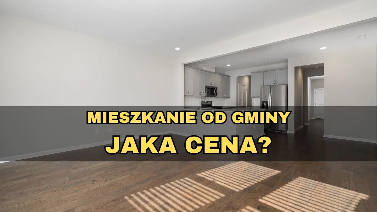 Gmina sprzedaje mieszkanie. Jaka cena? - Zdjęcie główne