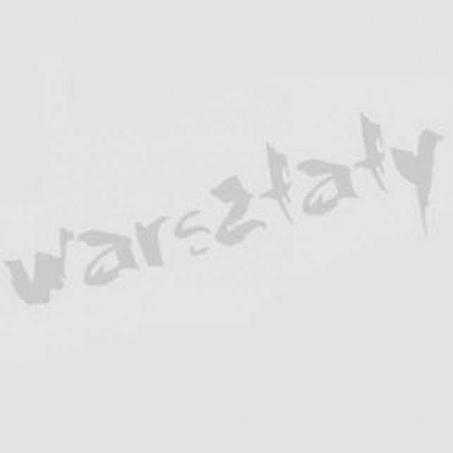 XXV Warsztaty Debatanckie - Zdjęcie główne