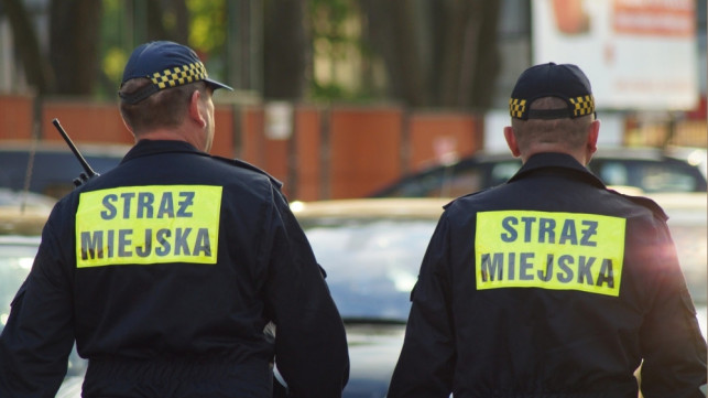 Strażnicy miejscy z nowymi uprawnieniami? Mogliby wlepiać mandaty za... - Zdjęcie główne