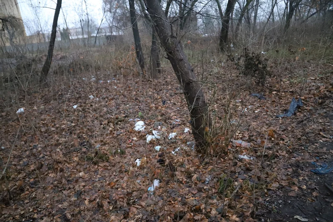 W Kutnie w okolicach rzeki Ochni ma powstać nowy park