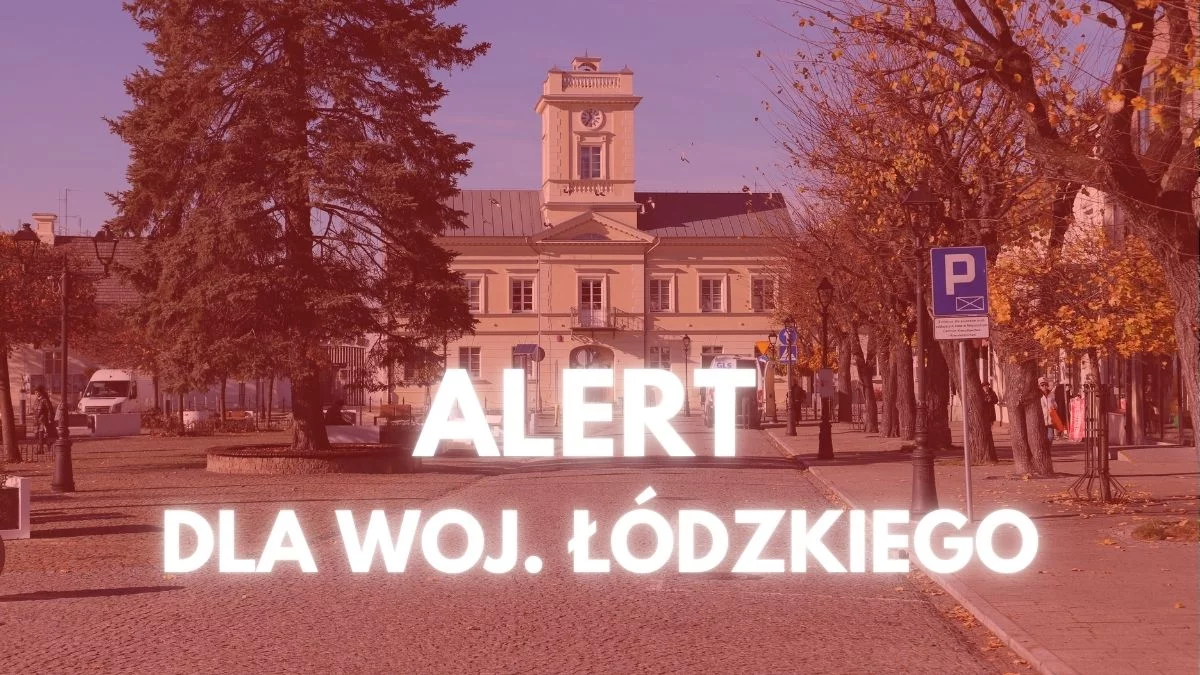 Zarządzanie Kryzysowe ostrzega całe woj. łódzkie. Tak może być w nocy - Zdjęcie główne