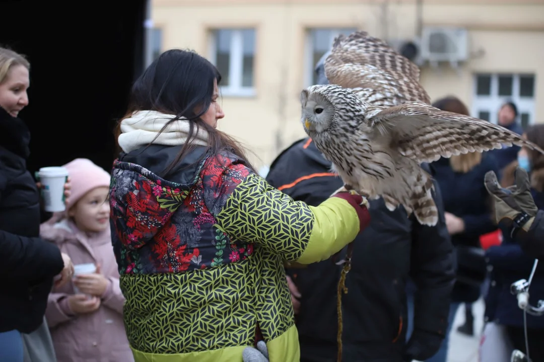 Moto Mikołaje przejechali przez Kutno! Trwa finał akcji na Placu Wolności