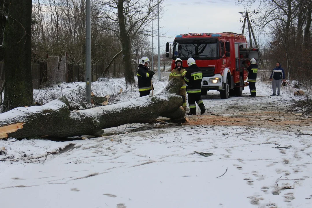 Pozrywane dachy i linie energetyczne, połamane drzewa. Strażacy interweniowali kilkadziesiąt razy! [ZDJĘCIA] - Zdjęcie główne