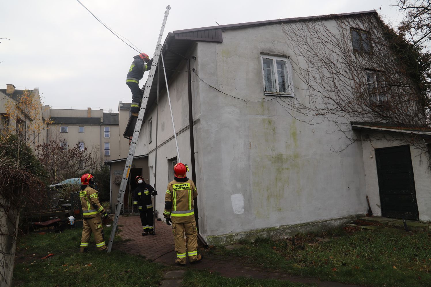 Strażacy z Kutna próbowali ściągnąć z dachu kota