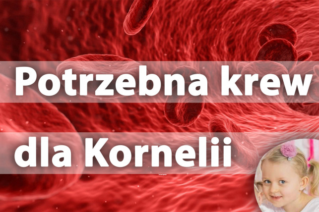 Potrzebna krew dla małej Kornelki. Dziewczynka walczy z nowotworem - Zdjęcie główne
