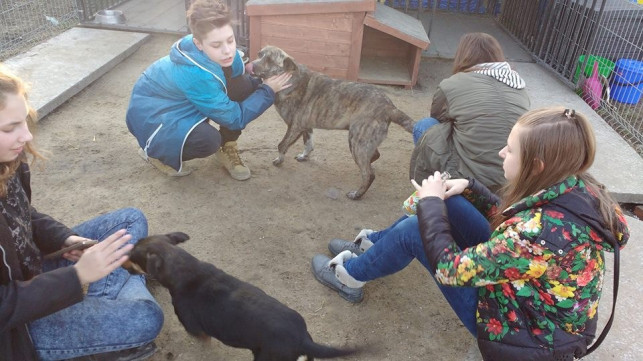 Wyciągnij pomocną łapkę w stronę "Czterech Łap" - Zdjęcie główne