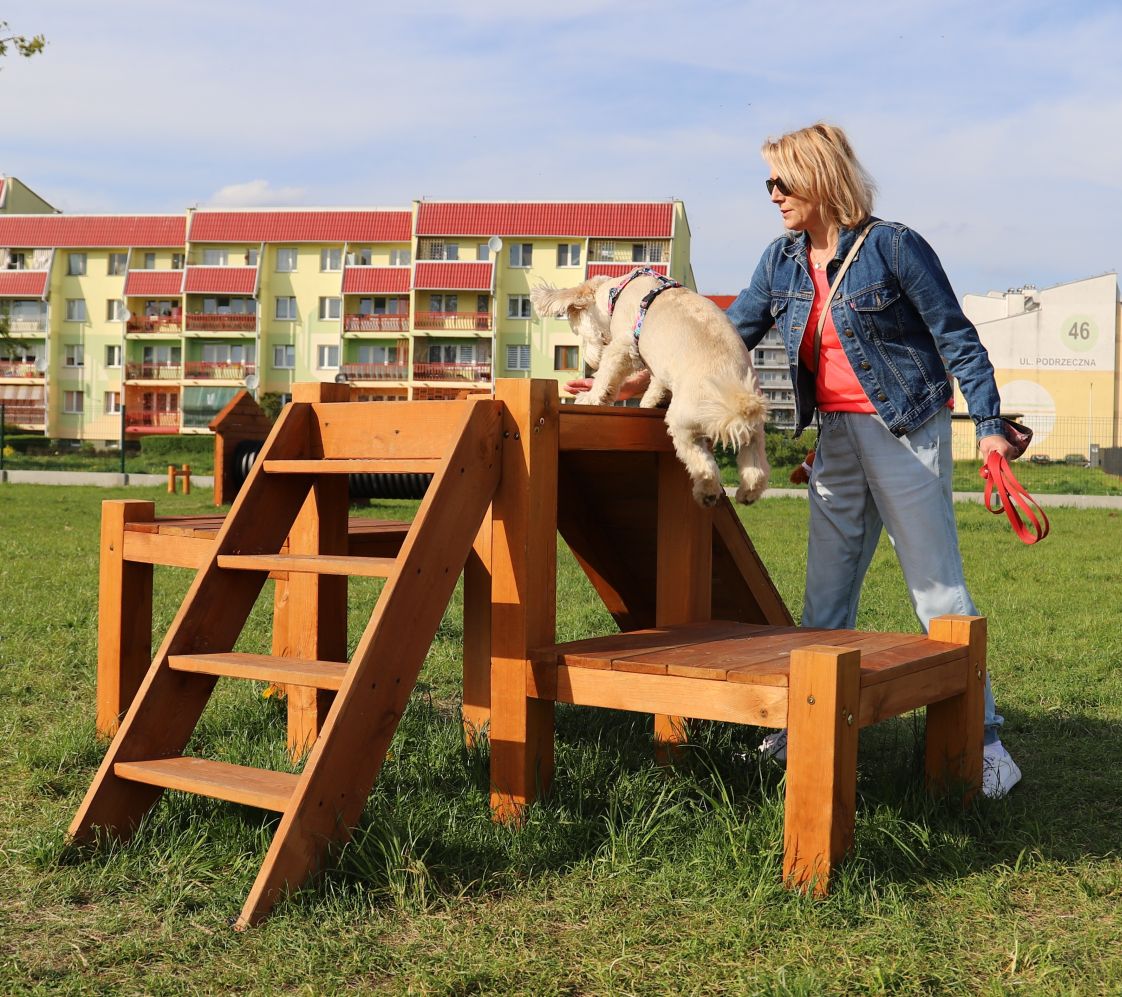 Psi park w Kutnie cieszy się dużą sympatią czworonogów i ich właścicieli