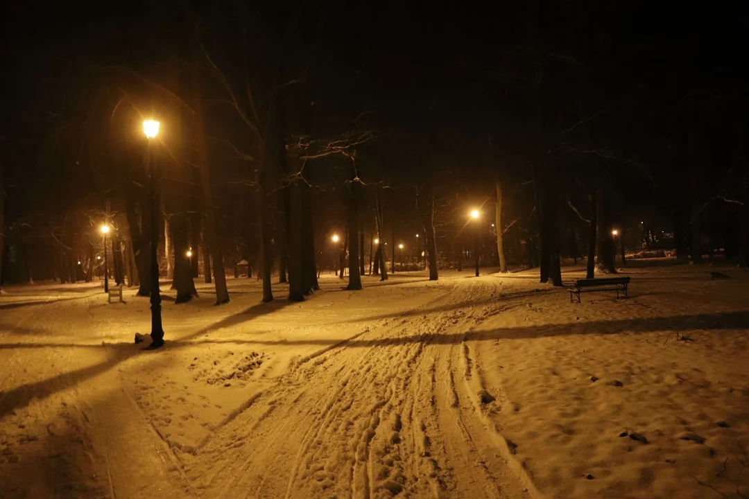 Park Wiosny Ludów w Kutnie