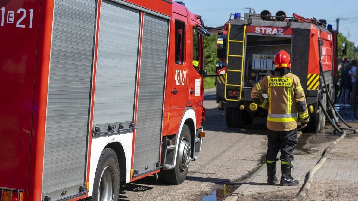 Pożar mieszkania na kutnowskim osiedlu. Na miejscu kilka zastępów - Zdjęcie główne