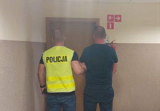 Policjanci z Kutna zabezpieczyli kilkadziesiąt sadzonek konopii