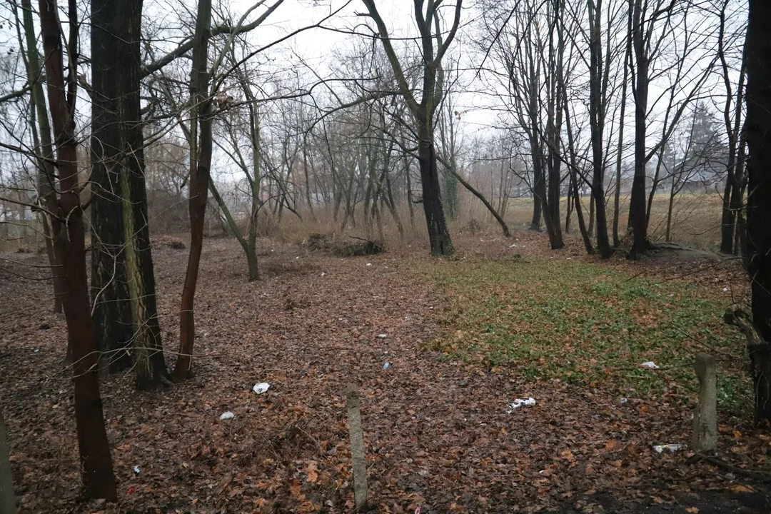 W Kutnie w okolicach rzeki Ochni ma powstać nowy park