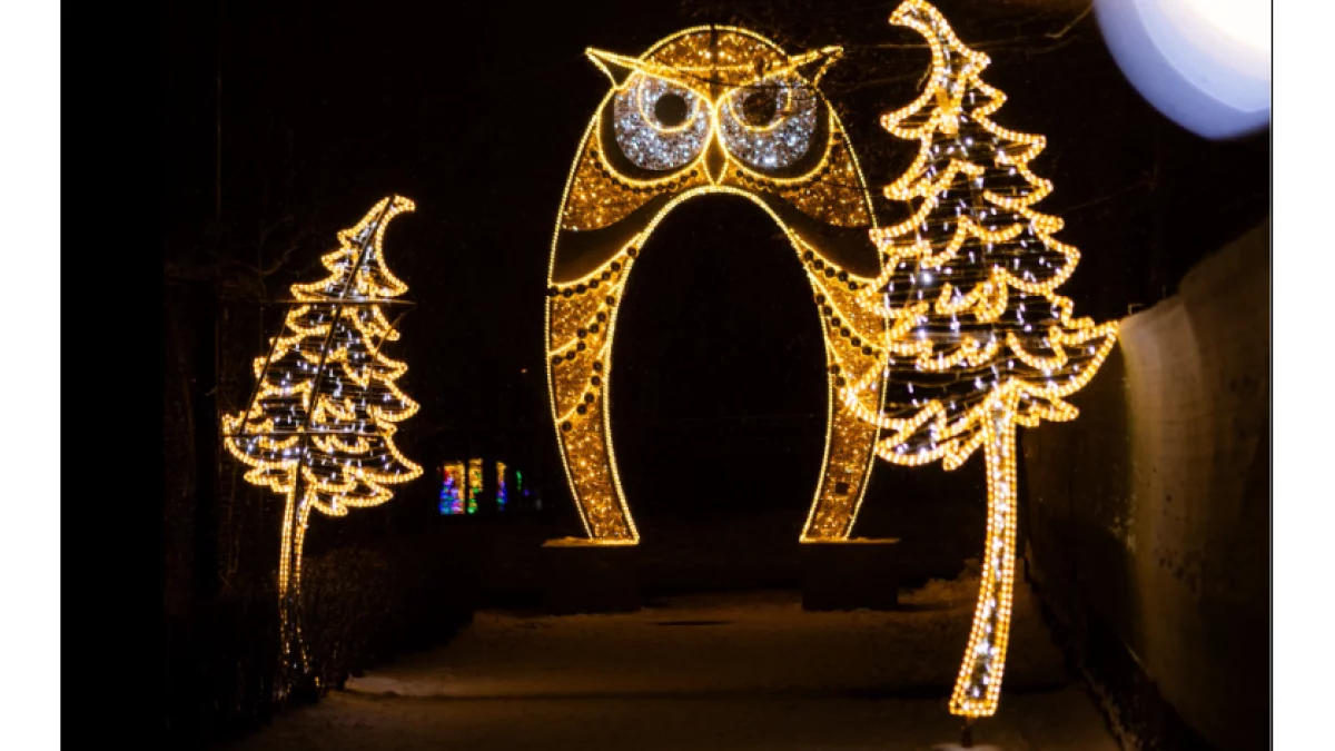 Jedna z najpopularniejszych atrakcji woj. łódzkiego zniknie. Zostało mało czasu