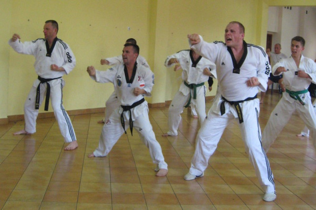 Zdali egzaminy w taekwondo - Zdjęcie główne