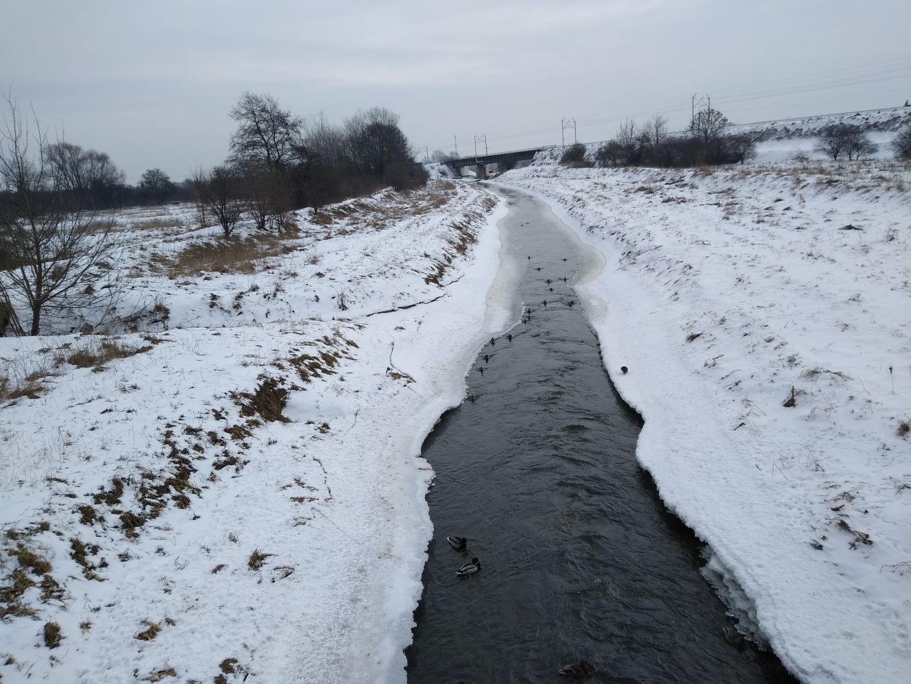 W Kutnie poziom rzeki wynosi 40-50 cm (zdjęcie wykonane 16.02.21)