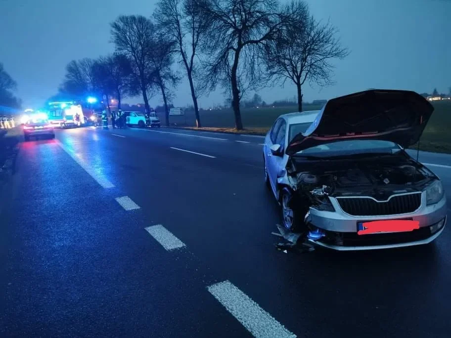 Wypadek pod Kutnem. Na miejscu wszystkie służby [FOTO] - Zdjęcie główne