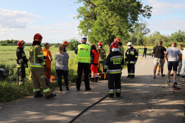 [ZDJĘCIA] Wypadek pod Kutnem. Dostawczak i osobówka w rowie, trwa akcja służb - Zdjęcie główne