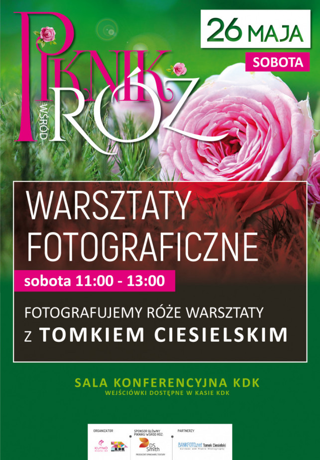 Fotografujemy róże - warsztaty podczas pikniku wśród róż - Zdjęcie główne