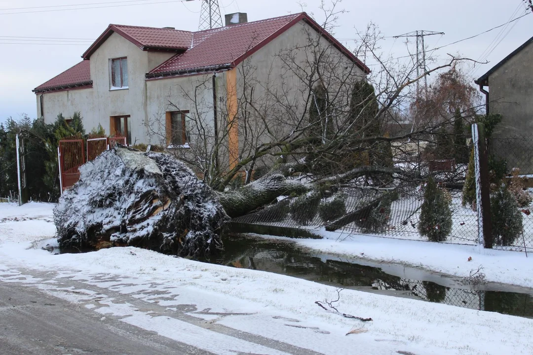 Po dzisiejszej nawałnicy, która przeszła przez pow. kutnowski, na jedno z podwórek runeło drzewo i słup. Wcześniej mieszkańcy prosili o ich usunięcie