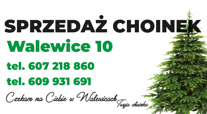 Sprzedaż choinek - Zdjęcie główne