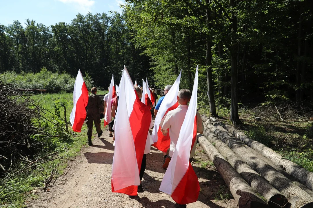 Bieg Tropem Wilczym – kolejna edycja wydarzenia coraz bliżej  - Zdjęcie główne