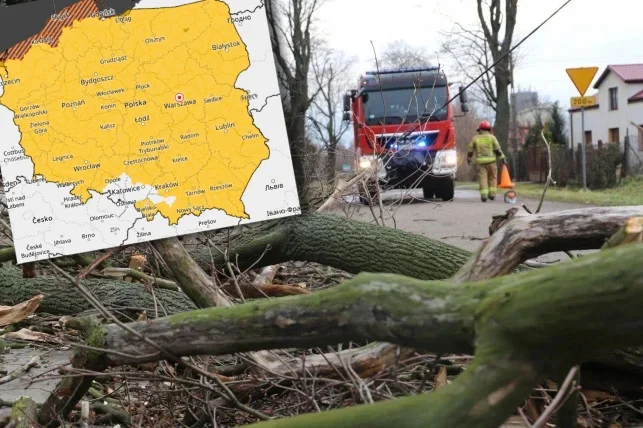 Wydano kolejne ostrzeżenie dla mieszkańców Łęczycy i okolic. Znów mocno powieje! - Zdjęcie główne