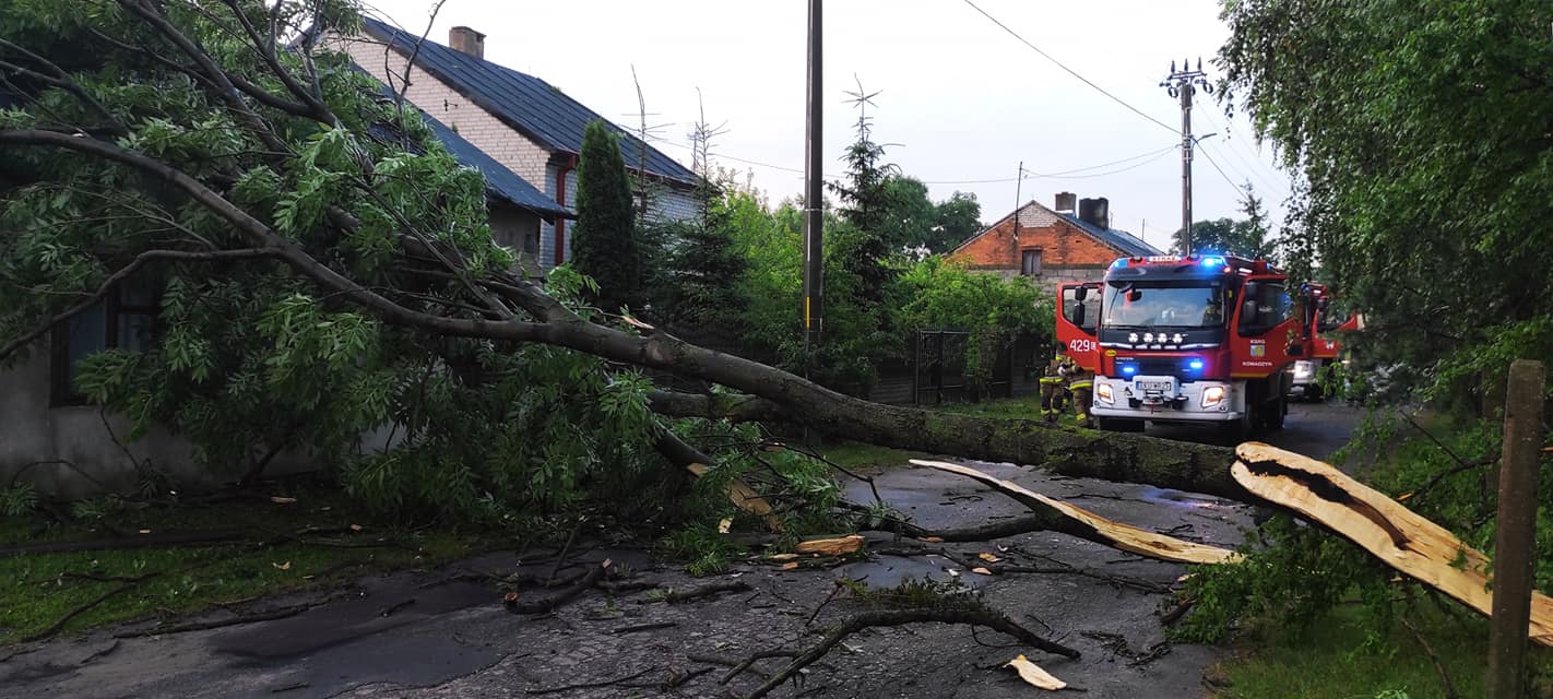 Połamane drzewa, zerwane dachy i liczne interwencje straży. Przez powiat kutnowski przeszła nawałnica