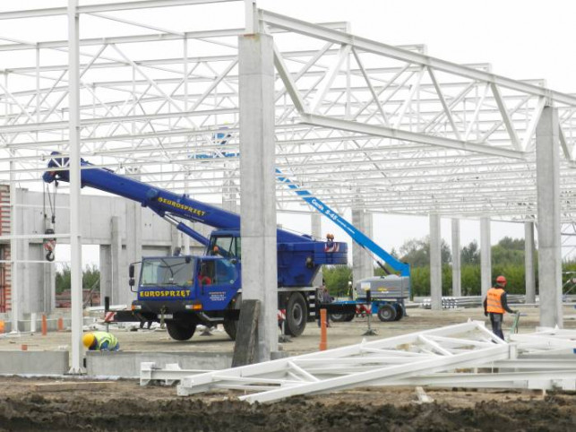 Galeria pnie się w górę - Zdjęcie główne