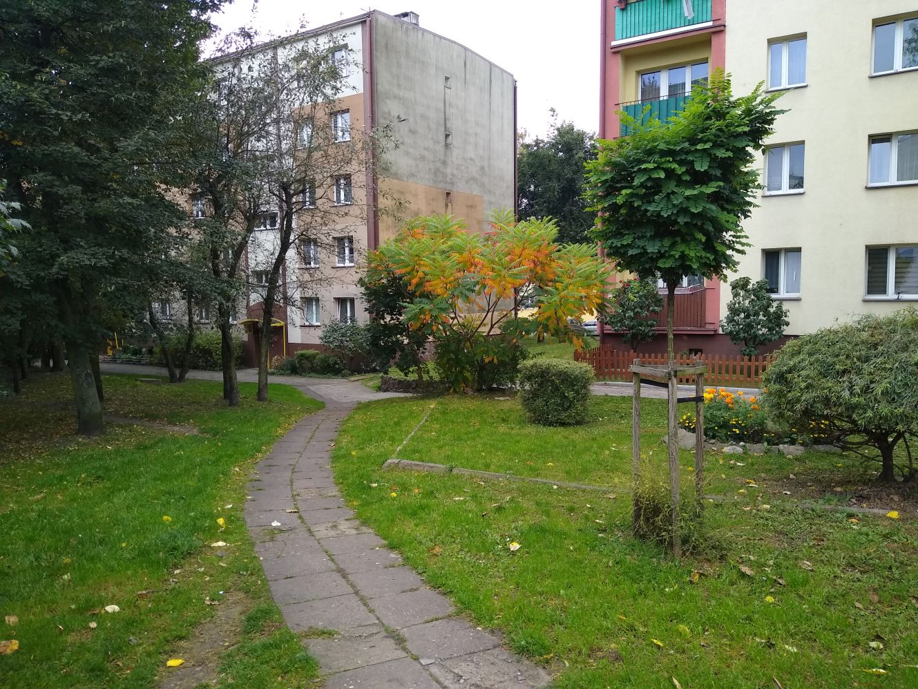 Okolice centrum Kutna - Barlickiego, Braci Śniadeckich, czy Kościuszki