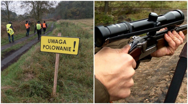 Przyjadą aż z Holandii, żeby polować pod samym Kutnem - Zdjęcie główne