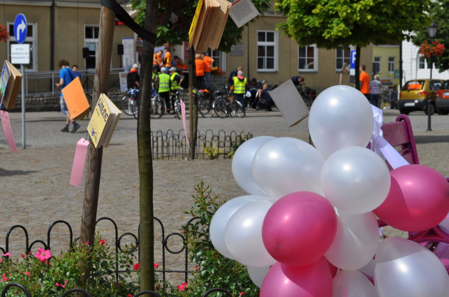 Różany bookcrossing - Zdjęcie główne