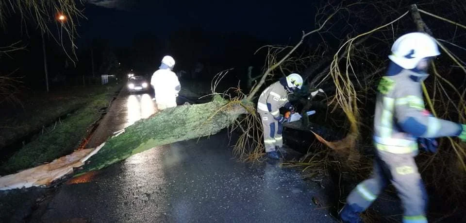 Strażacy usuwają skutki wichury, jaka przeszła przez powiat kutnowski