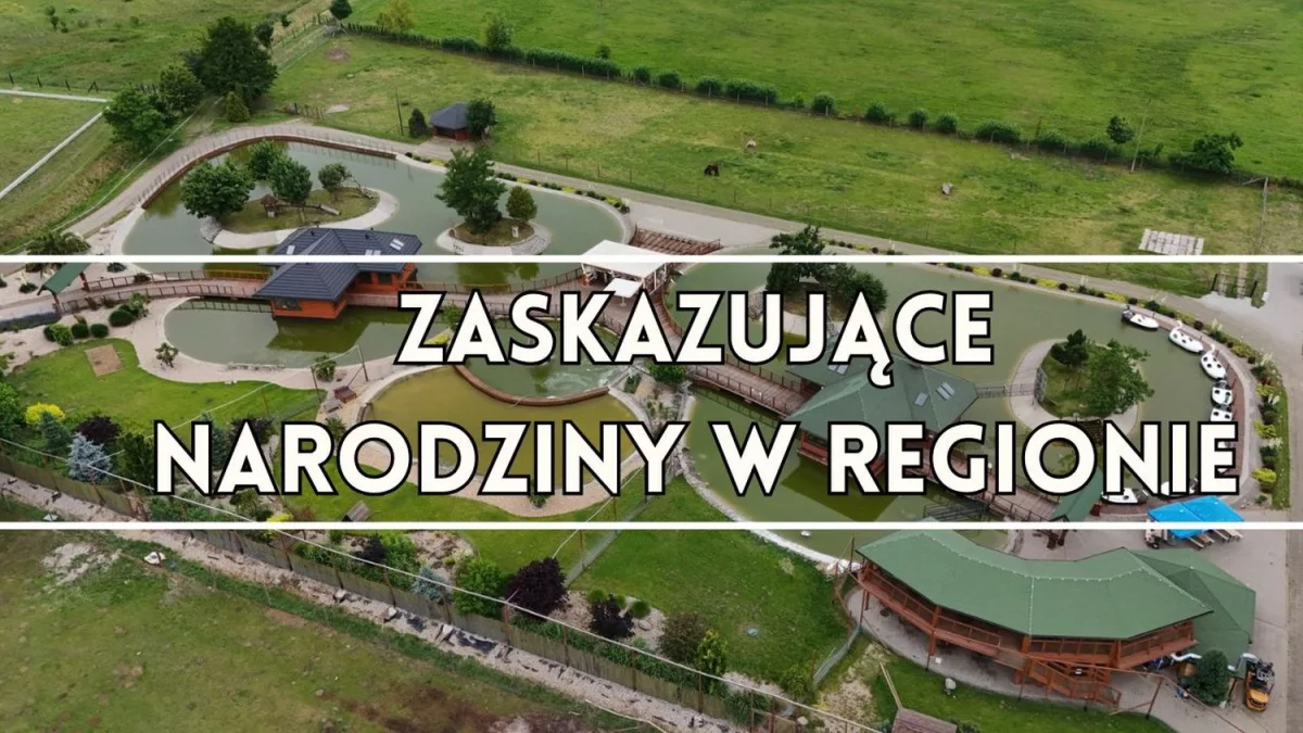 W regionie przyszło na świat afrykańskie zwierzę. Jego narodziny zaskoczyły weterynarza - Zdjęcie główne