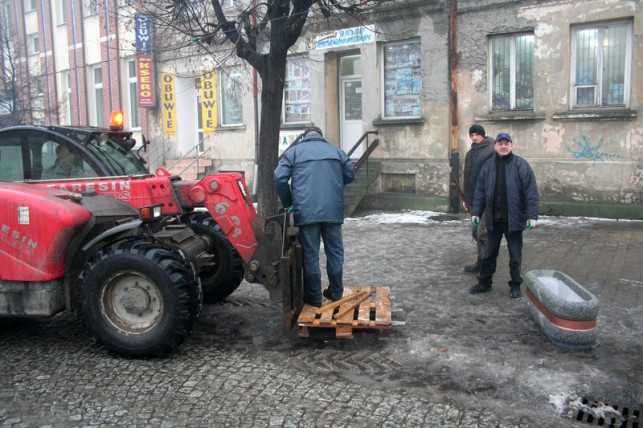 W centrum ma być więcej kwiatów - Zdjęcie główne