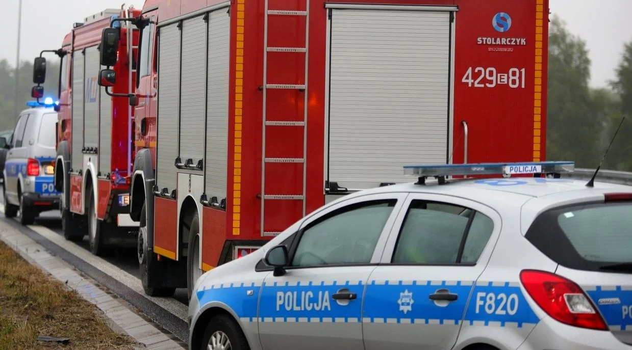 Wypadek na autostradzie pod Kutnem. Jedna osoba ranna - Zdjęcie główne