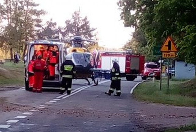 Śmiertelny wypadek! Samochód wbił się w drzewa, nie żyje kierowca, pasażerka w szpitalu - Zdjęcie główne