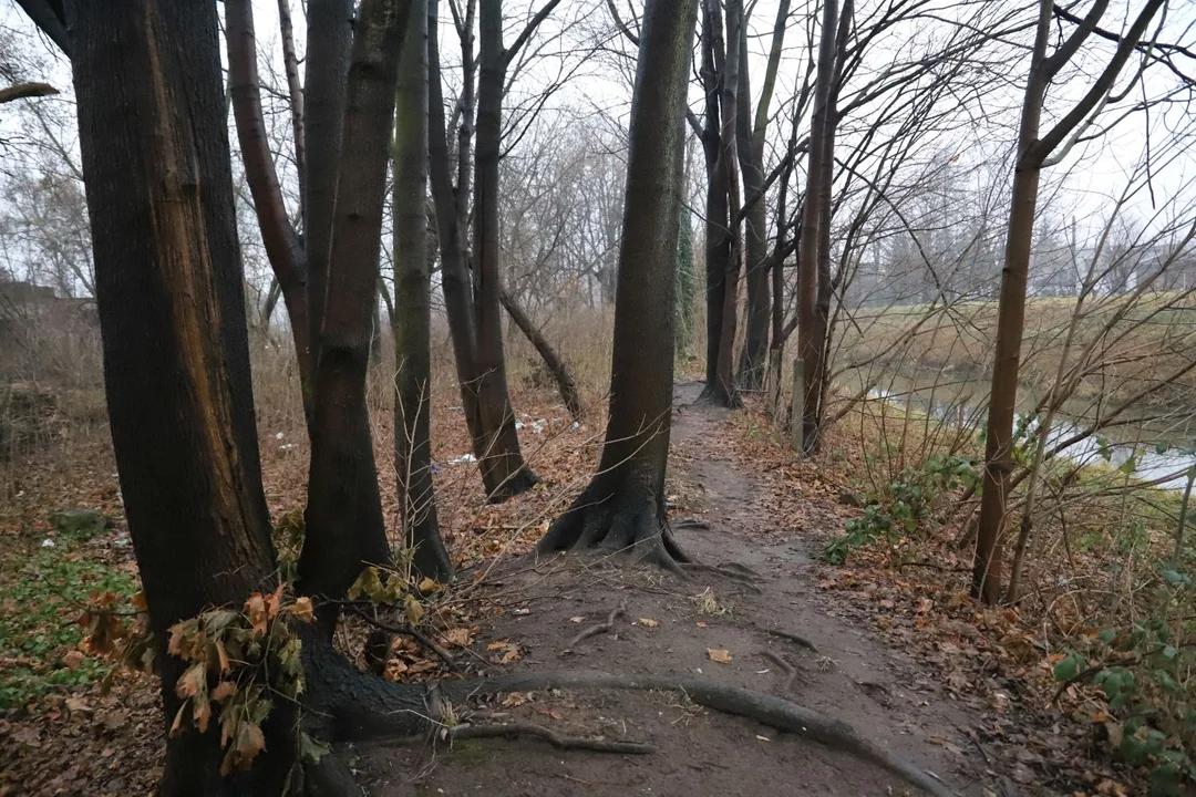 W Kutnie w okolicach rzeki Ochni ma powstać nowy park