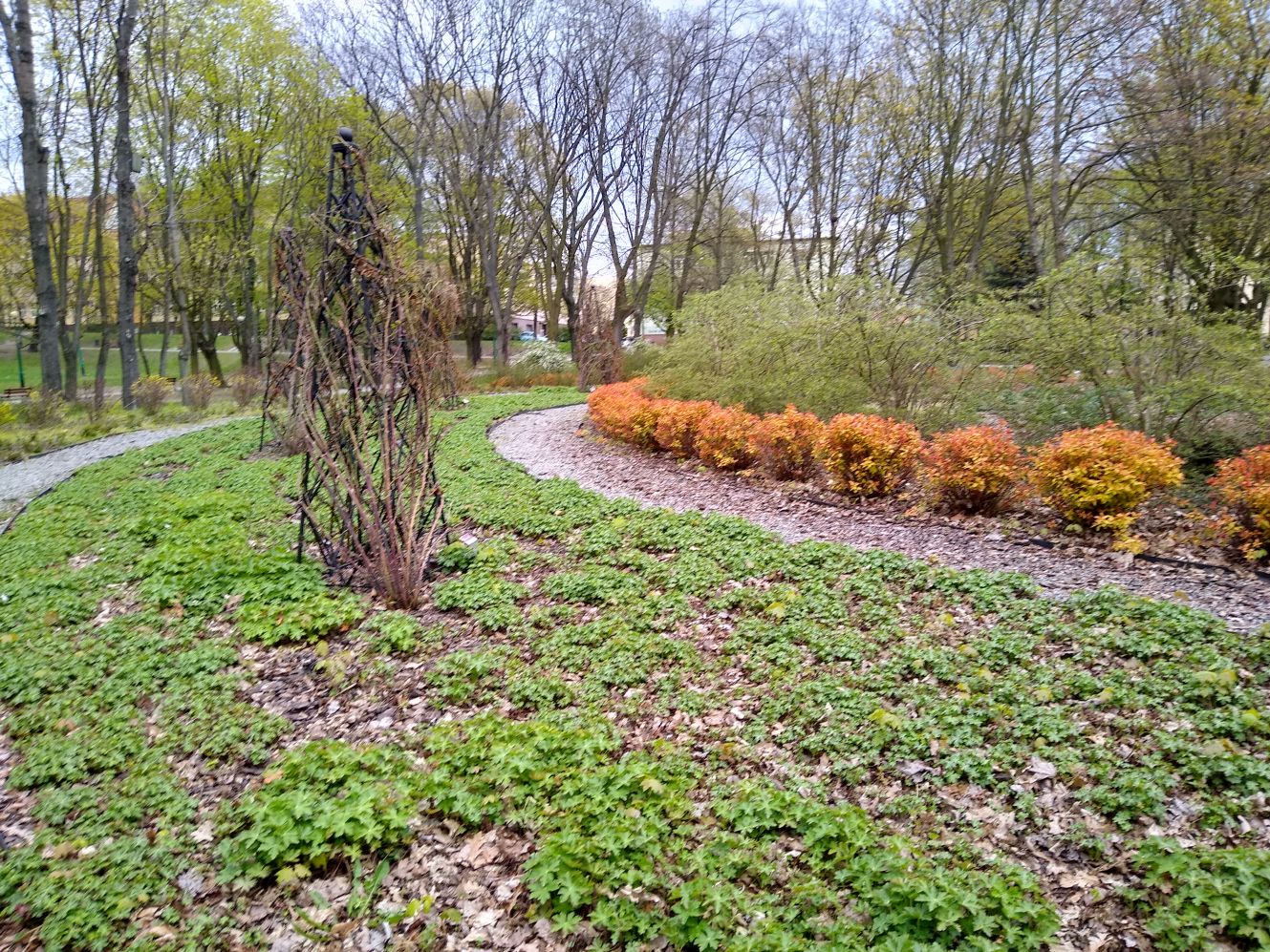 Wiosna powoli daje o sobie znać w kutnowskich parkach i na ulicach naszego miasta