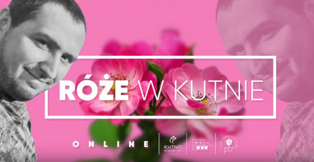 [WIDEO] Jakie róże rosną w Kutnie? KDK zaprasza na wyjątkowe spotkanie z królową kwiatów! - Zdjęcie główne