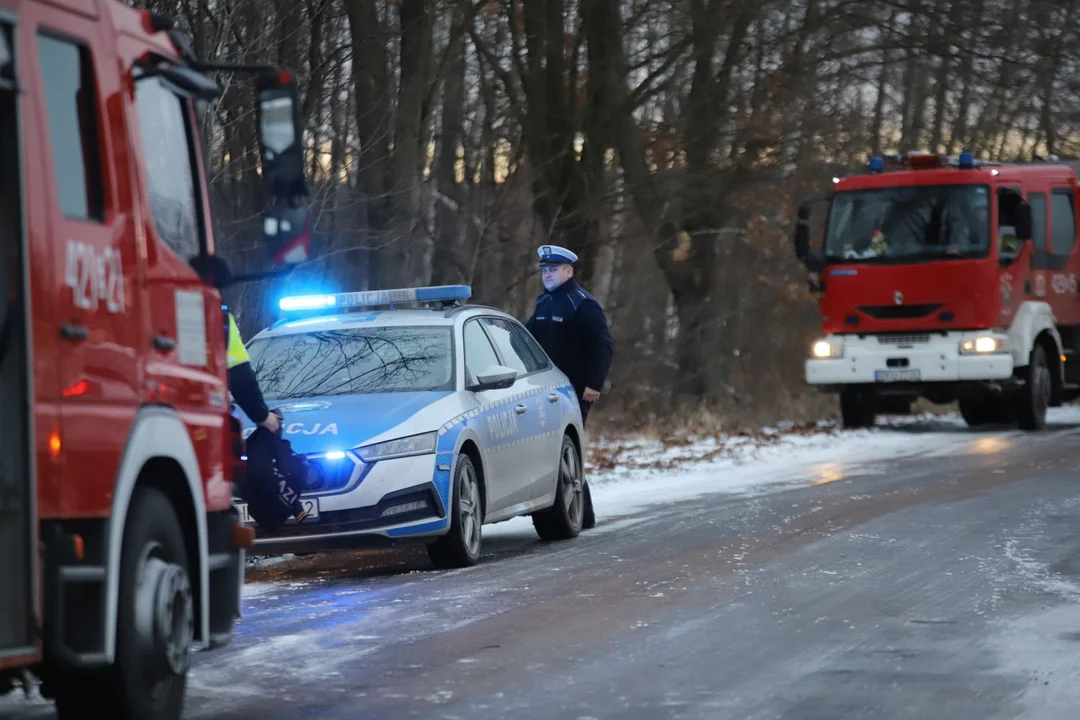 W Grochowie pod Kutnem samochód uderzył w drzewo