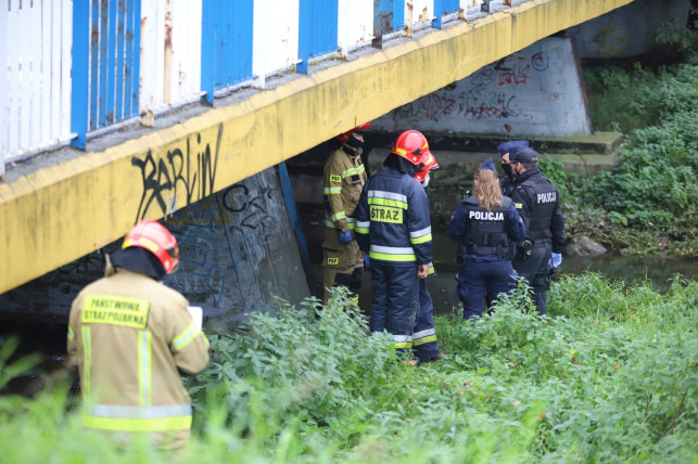 [ZDJĘCIA] Pod wiaduktem znaleziono zwłoki. Służby zabezpieczają teren - Zdjęcie główne