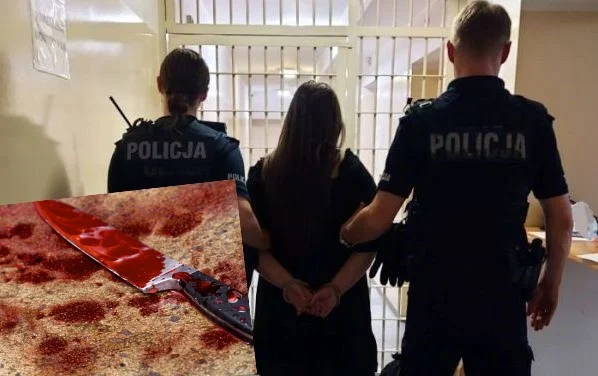 Dramatyczny finał szarpaniny. Pijana 21-latka dźgnęła nożem mężczyznę, grozi jej dożywocie - Zdjęcie główne