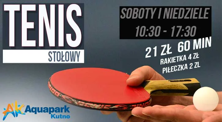 Tenis stołowy w Aquaparku Kutno - Zdjęcie główne