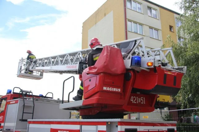 Mała dziewczynka sama na balkonie. Interweniowały kutnowskie służby  - Zdjęcie główne