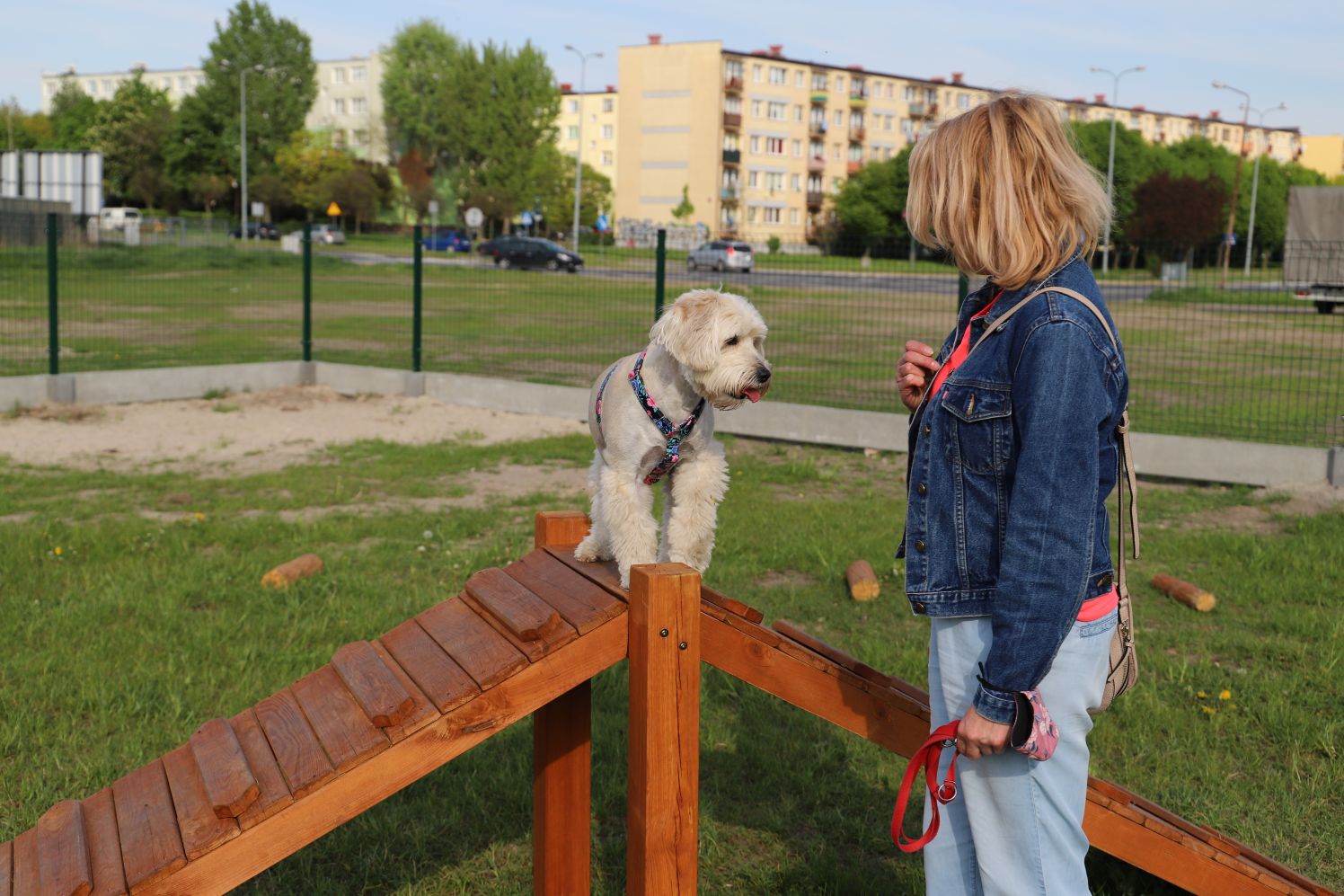 Psi park w Kutnie cieszy się dużą sympatią czworonogów i ich właścicieli