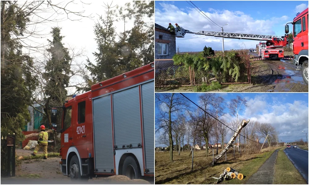 Nawałnica w powiecie kutnowskim: odnotowano ponad 200 interwencji. Strażacy komentują swoje działania [ZDJĘCIA] - Zdjęcie główne