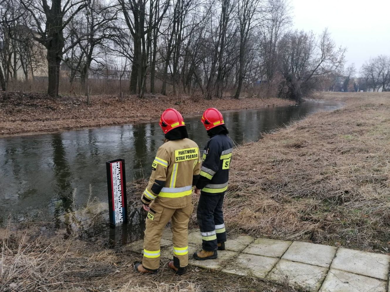 [FOTO] Strażacy monitorują Ochnię: jaka jest sytuacja? - Zdjęcie główne