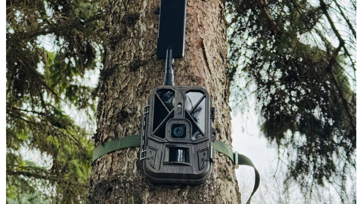 Koniec z dzikimi wysypiskami? Jedna z gmin zapowiedziała fotopułapki