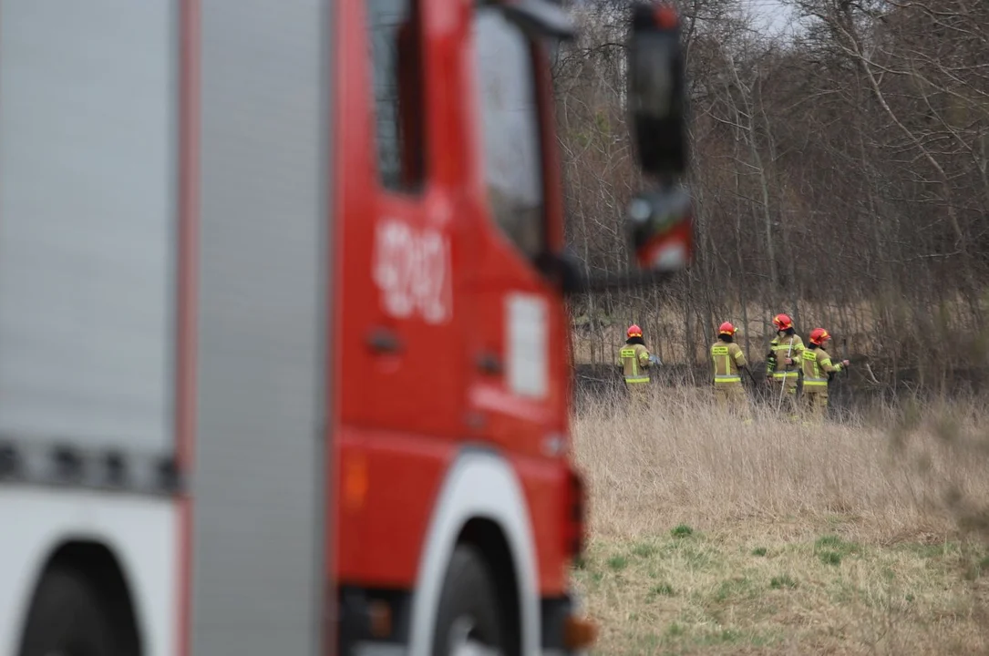 Przy ul. Troczewskiego w Kutnie doszło do pożaru łąki