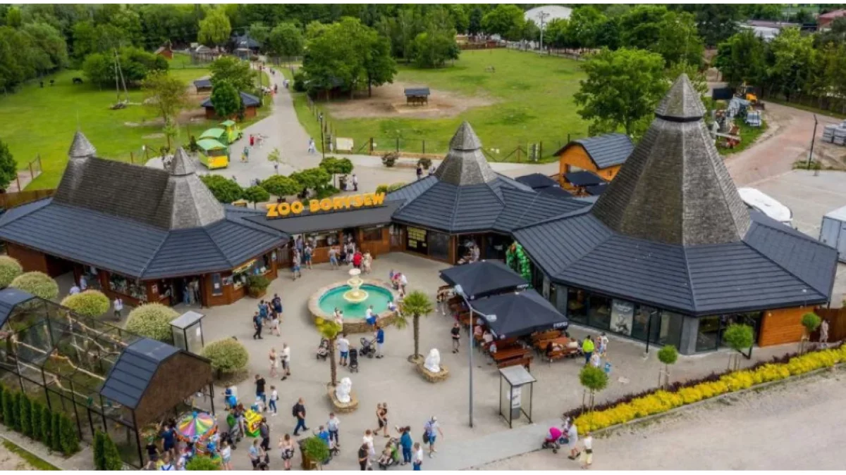 Jest uznany za gatunek wymarły na wolności. Przyszedł na świat w woj. łódzkim